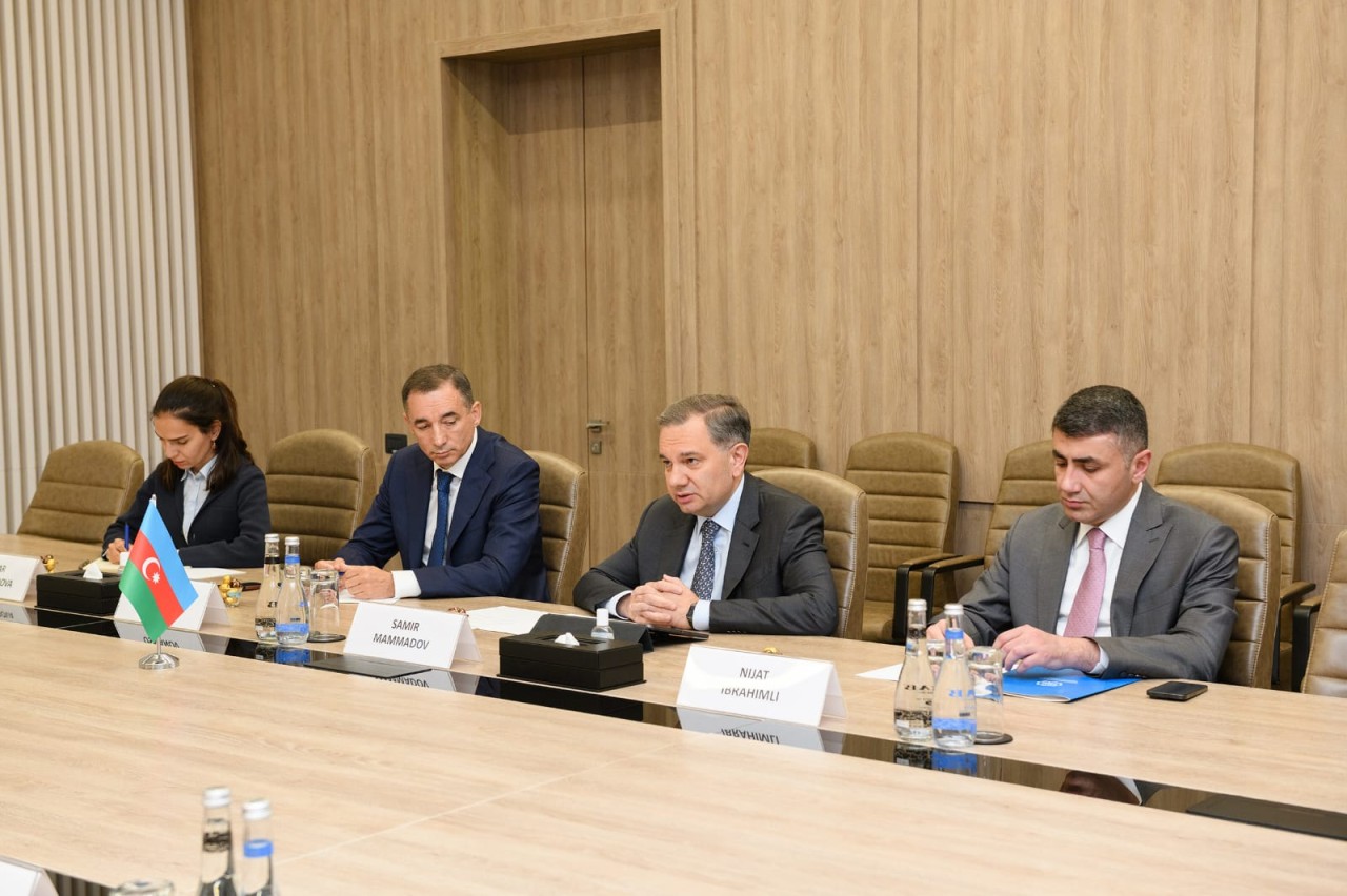 RİNN-də Rumıniya Prezidentinin müşaviri ilə görüş keçirildi - FOTO