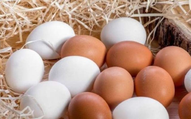 Azərbaycanda yumurta kəskin ucuzlaşdı- 1 qəpik...