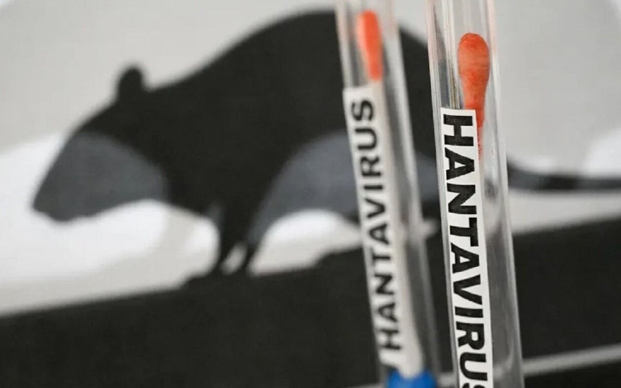 Türkiyədə hantavirus təhlükəsi
