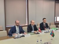 Azərbaycanla Avstriya arasında ilk konsulluq məsləhətləşmələri keçirilib - FOTO