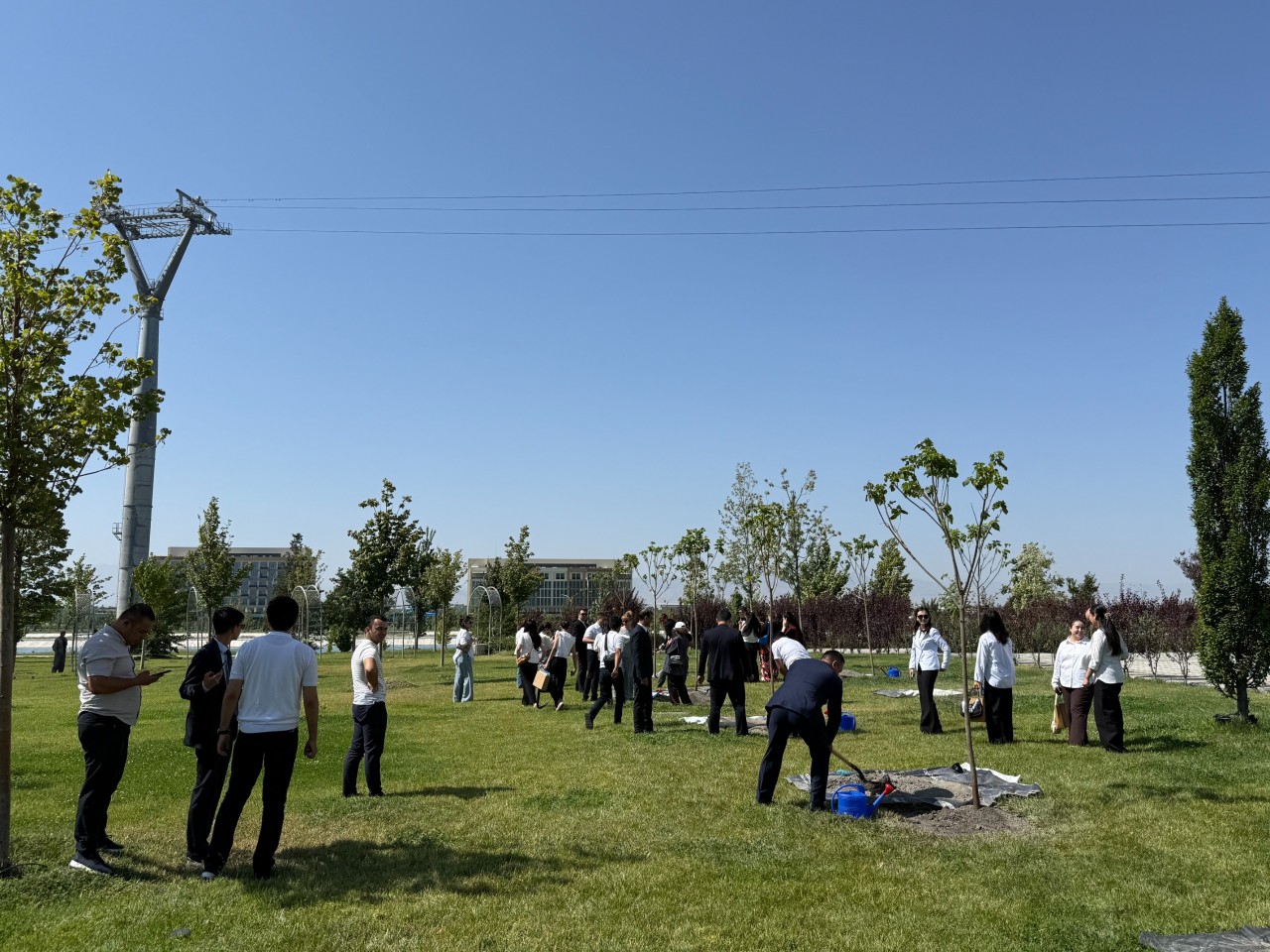 Niyazi Bayramov Səmərqənddə ağacəkmə aksiyasında iştirak etdi - FOTOLAR
